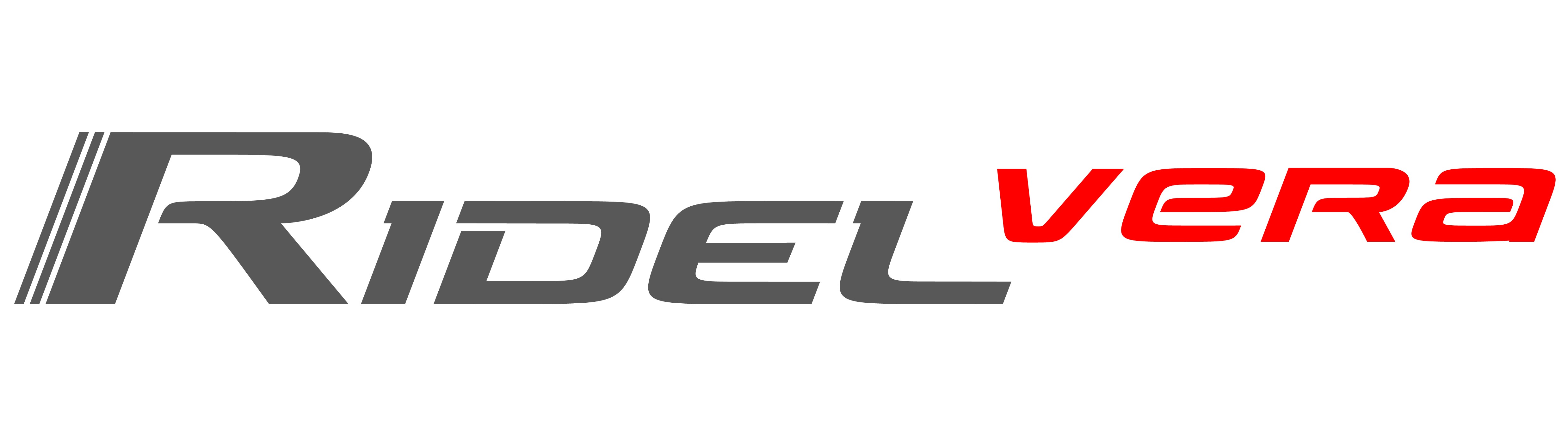 Stockeur d'energie en Eau chaude sanitaire RidelVera Ridel Energy